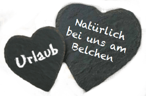 Urlaub in der Schwarzwaldregion