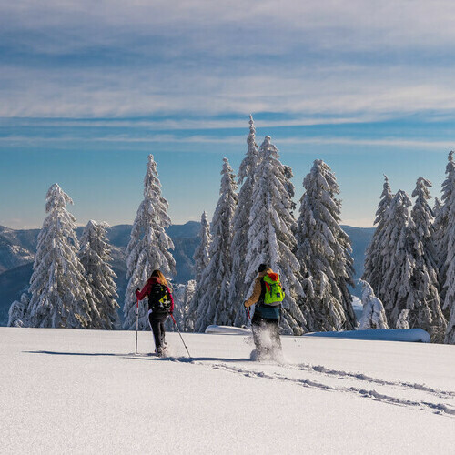 Schneeschuhwandern im Schwarzwald