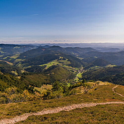 Zahlreiche Ausblicke bis ins Schweizer Jura und die benachbarten Vogesen sind das zentrale Merkmal dieser Erlebniswanderung auf dem Premiumwanderweg Belchensteig.