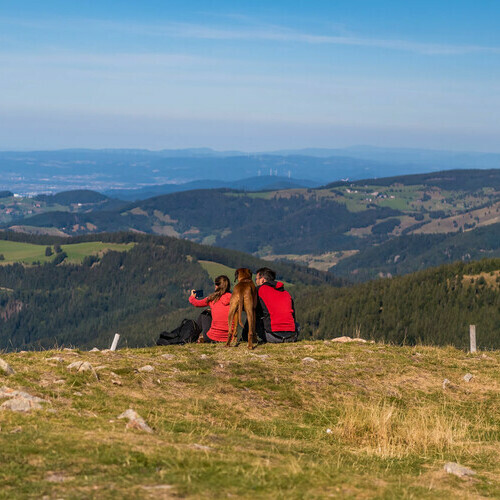 Momente wie diese gilt es festzuhalten.
