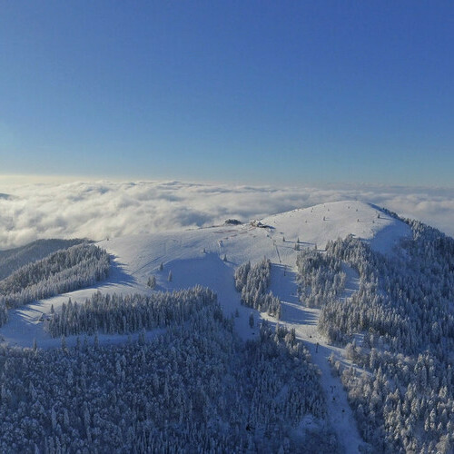 Der Belchen bietet Wintervergngen unterschiedlicher Art.