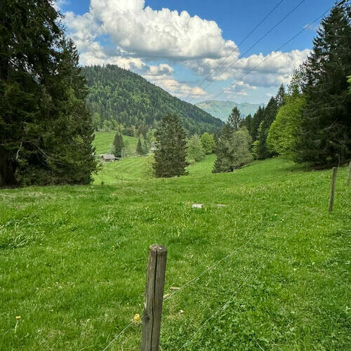 Der Blick auf das Freilufthaus in Untermulten, am Fu�e des Belchens.