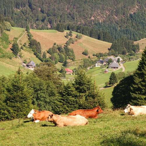 Der Ortsteil Rollsbach mit Khen im Vordergrund 