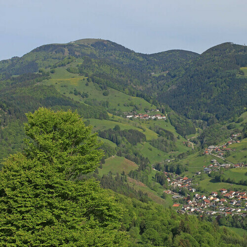 Fernblick auf Aitern im Sommer