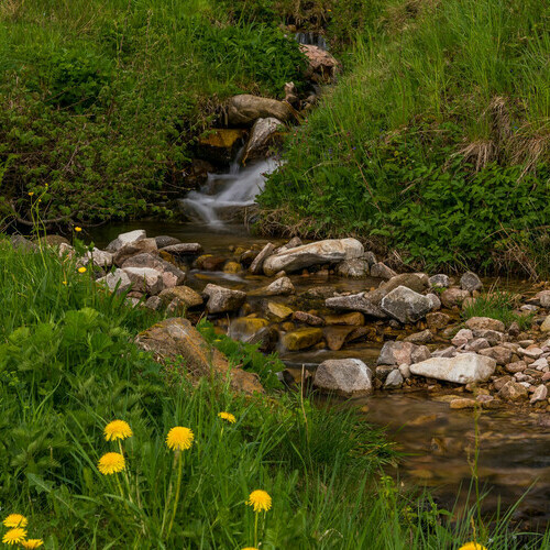 Bachlauf inmitten des Sdschwarzwaldes