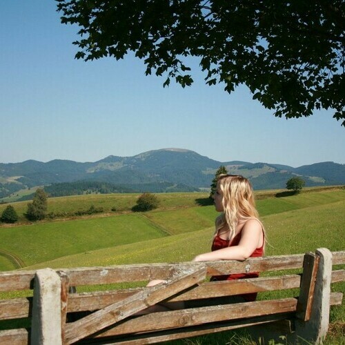 Blick auf den Belchen