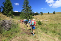 Wanderung mit dem Schwarzwaldverein Schnau