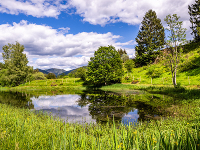 Der Letzbergweiher oberhalb von Schönau Der Letzbergweiher oberhalb von Schönau