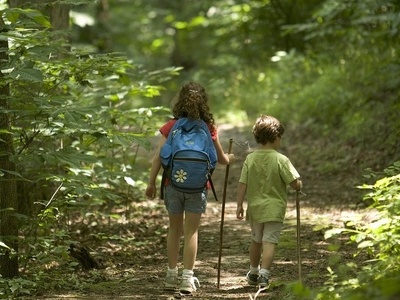 Zwei Kinder mit Stock in der Hand beim Wandern durch einen Wald. Bildquelle: Pixabay - PublicDomainImages