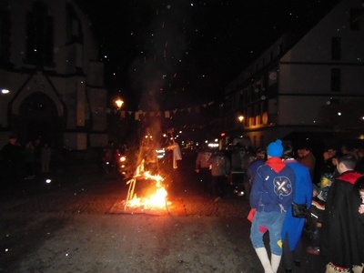 Fasnachtsverbrennung und Narrenbaumversteigerung in Sch�nau