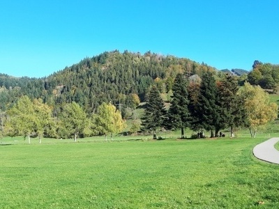 Sch�nau im Schwarzwald