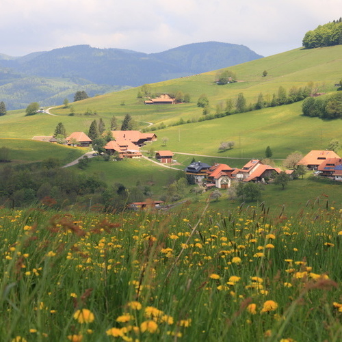 Unser Dorf Holz - Ihr zuhause auf Zeit liegt  in herrlich ruhiger Lage, schöne Spazier.- und Wanderwege direkt am Haus