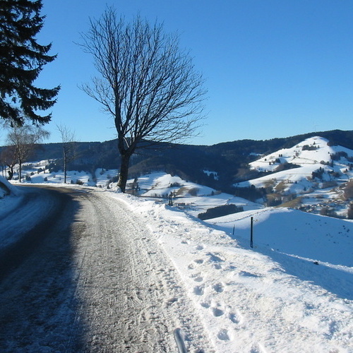 Winterwanderweg mit herrlicher Aussicht - 