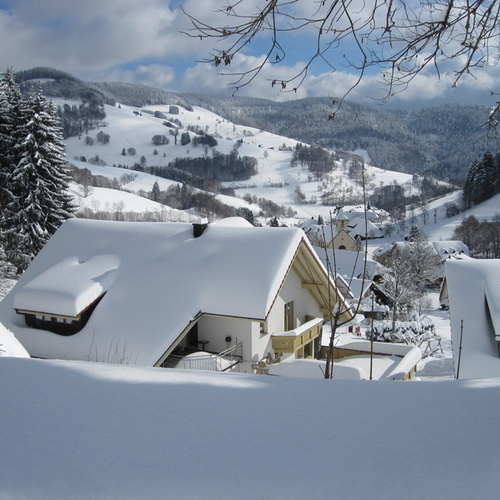 Blick aus dem Fenster - 