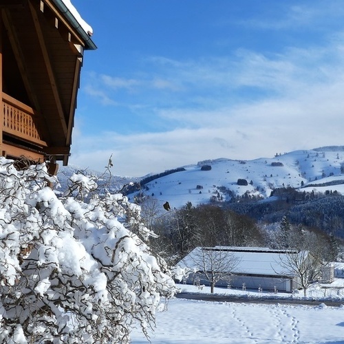 Landhaus Wiesentalblick auf dem Marterer-Hof - 