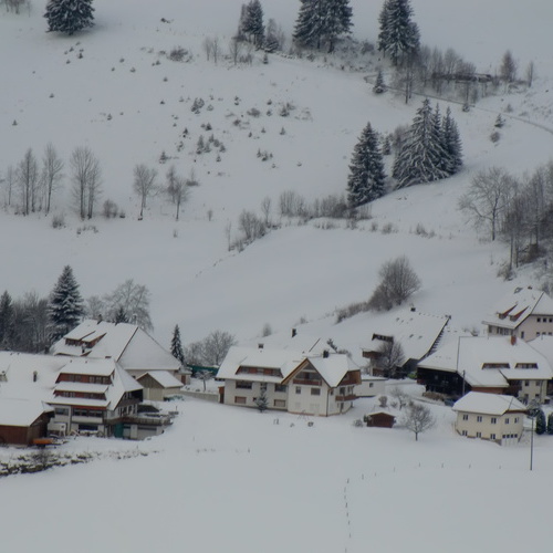 Wintertraum - 