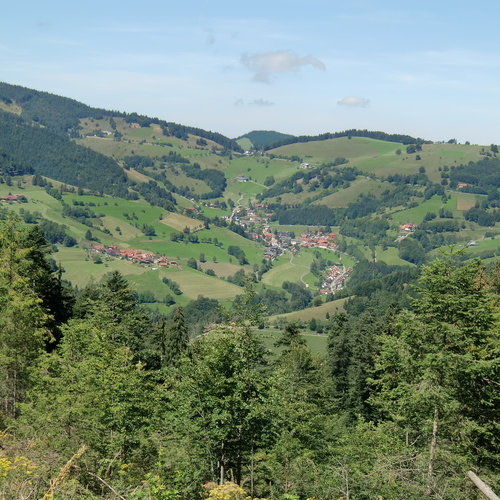 Goldener Herbst in Wieden - 