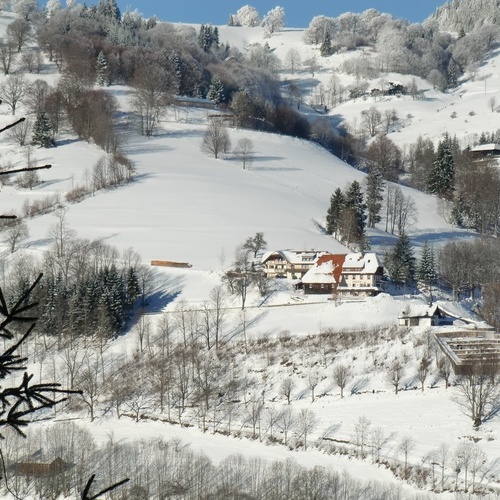 Winter Rundblick - 