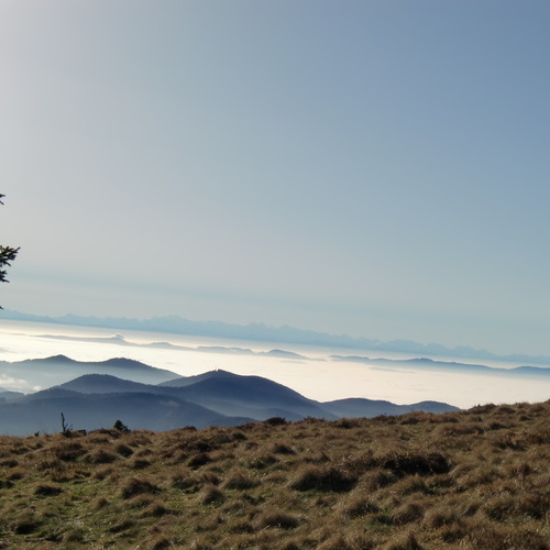 Blick vom Belchen in die Alpen - 
