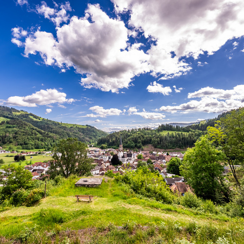 Blick vom ehem. Schlageter denkmal auf Schönau - 