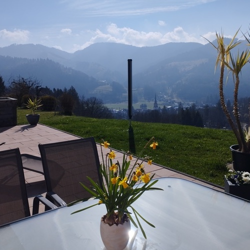 Ausblick von der Terasse - 